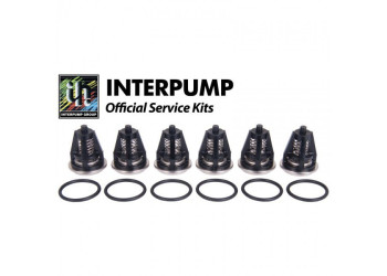 Ремкомплект Interpump Kit 62