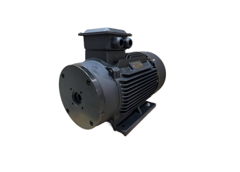 Мотор TOR H160 22 KW (межосевое расстояние 87мм)
