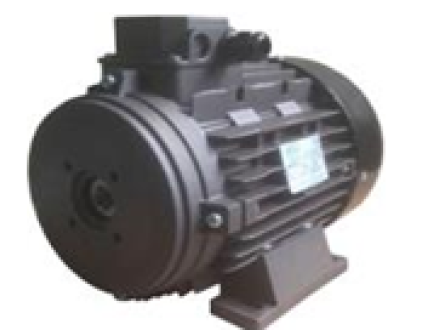 Мотор H132L HP 12.5 4P MA AC KW 9,2