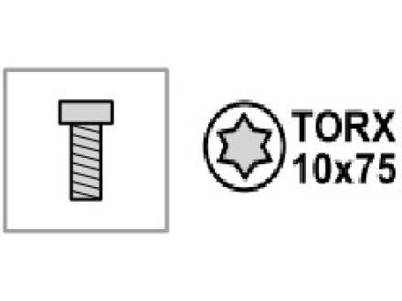 Крепежное изделие форсункодержателя (саморез) TORX 10x75 (звёздочка)
