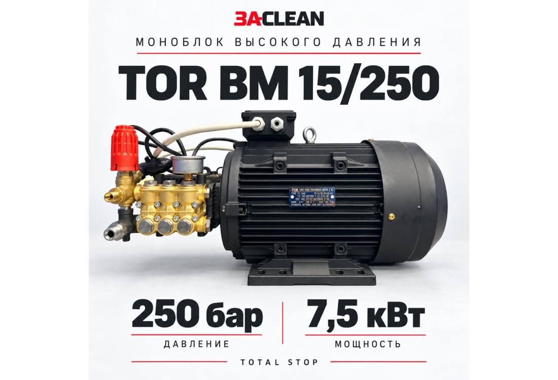 Моноблок TOR BM 15/250 250 бар, 7.5 кВт, TS Моноблок TOR BM 15/250 250 бар, 7.5 кВт, TS