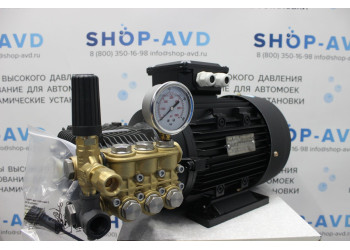Моноблок Тритон T 15/200 BP 5.5 T