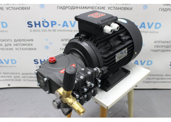 Моноблок Тритон IP 13/180 BP 5 T