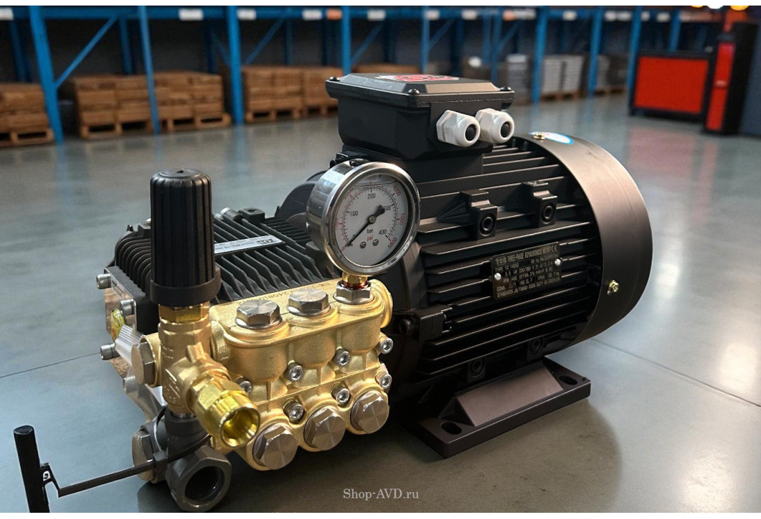 Моноблок TOR 15/25 BP 5.5 T (с манометром, без кнопки запуска) Моноблок TOR 15/25 BP 5.5 T (с манометром, без кнопки запуска)