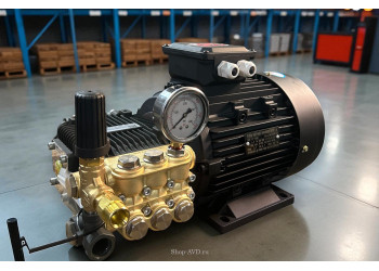 Моноблок TOR 15/25 BP 5.5 T (с манометром, без кнопки запуска)