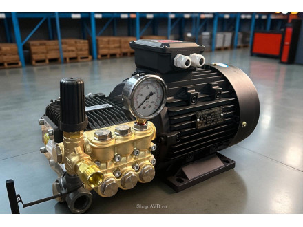 Моноблок TOR 15/25 BP 5.5 T (с манометром, без кнопки запуска)