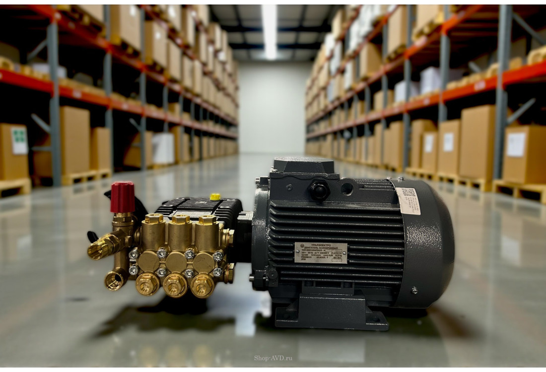 Моноблок Тритон B 15/200 TS 5.5 (без электрики)