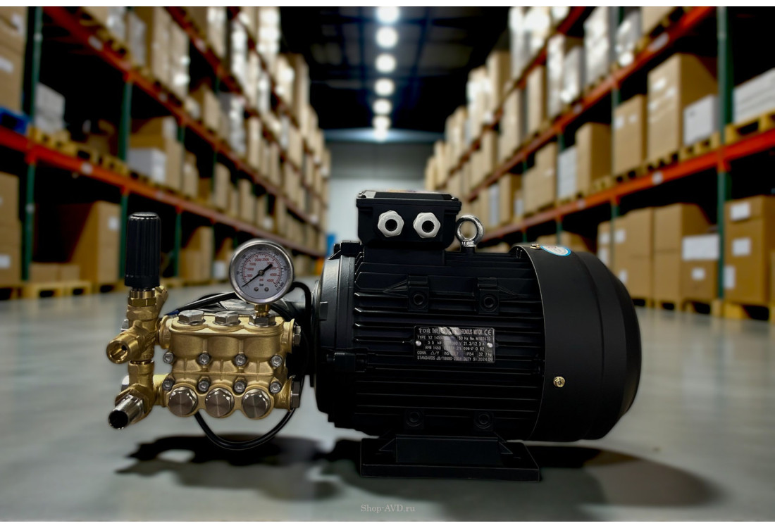 Моноблок Тритон T 15/200 TS 5.5 T (без электрики)
