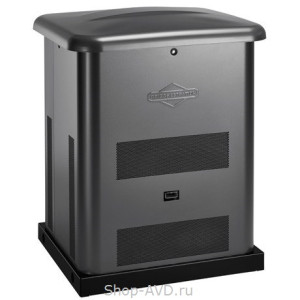 Briggs & Stratton Home Standby 6000 Стационарный газовый генератор