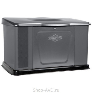 Briggs & Stratton Home Standby 11000 Стационарный газовый генератор