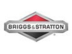 Briggs & Stratton